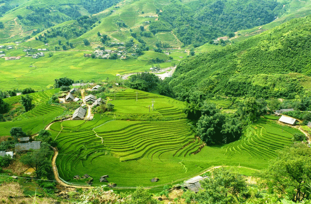 Ban Ho Village Sapa
