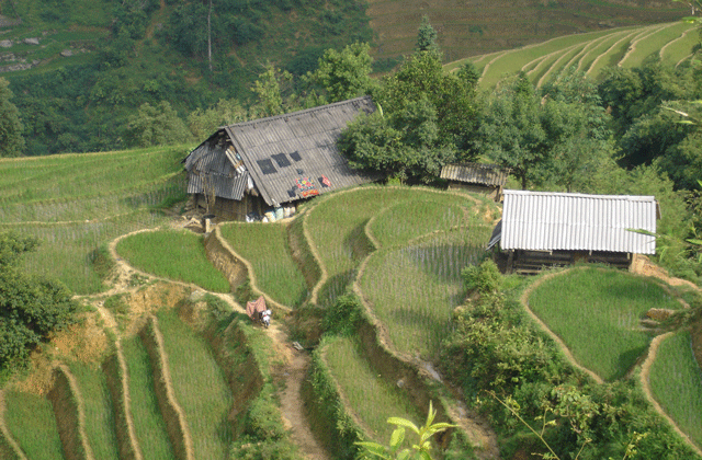 Y Linh Ho Village Sapa