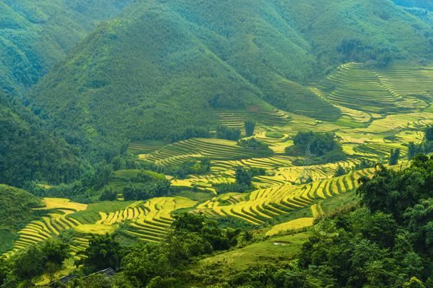 Take in the magnificent terraced fields in the world