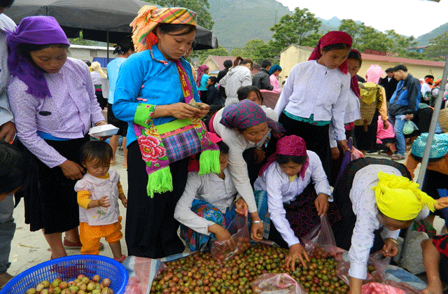 Káº¿t quáº£ hÃ¬nh áº£nh cho Lung Phin Market